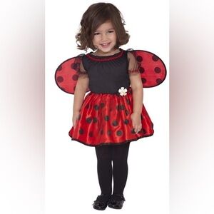 Baby ladybug Costume 0-6M